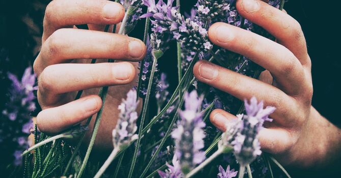 Acupuncture/Chinese Medicine