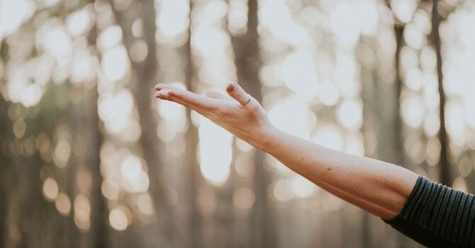 Acupuncture/Chinese Medicine